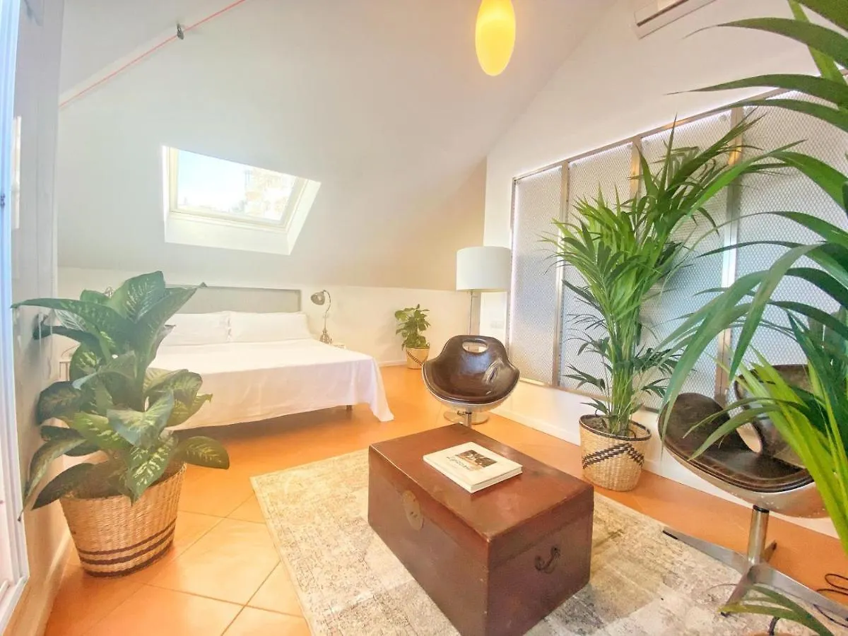 Pensión Molo 44 suites Puerto Banús Marbella