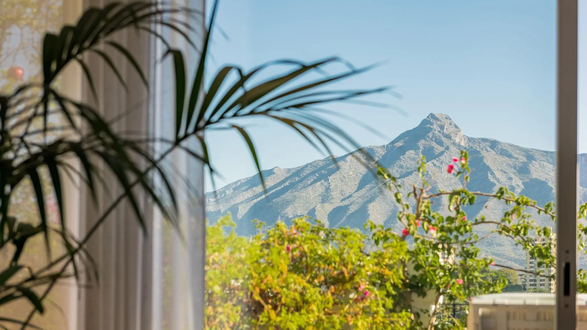 Pensión Molo 44 suites Puerto Banús Marbella