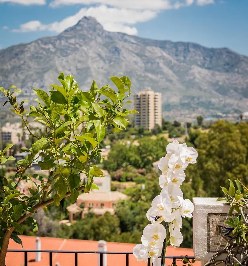 Pensión Molo 44 suites Puerto Banús Marbella