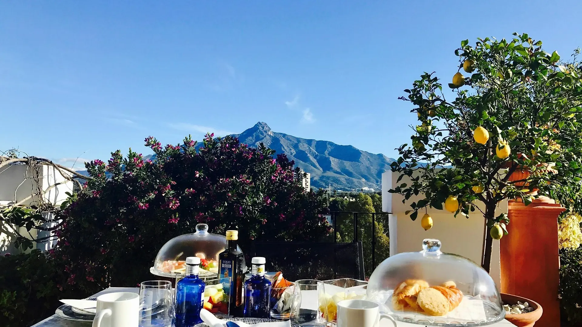 Molo 44 suites Puerto Banús Marbella