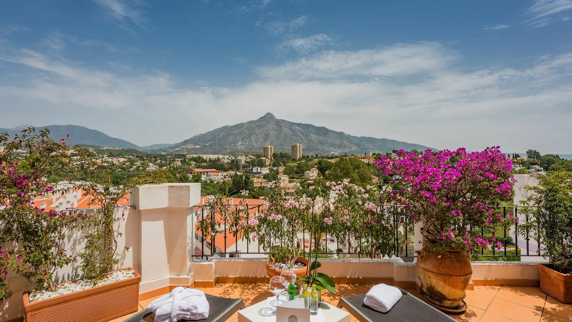 Molo 44 suites Puerto Banús Marbella Pensión